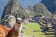 Peru: woestijn, bergen en jungle
